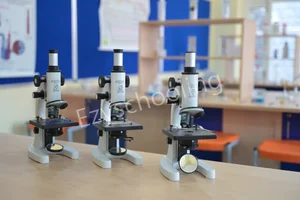 Delhi Public School Gallery