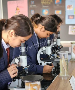 Boston World School Gallery