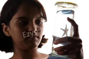 KCP Siddhartha Adarsh Residential Public School Gallery