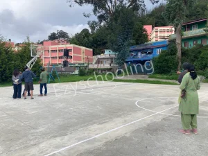 The Blue Mountain School Gallery