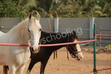 ABACUS International Montessori School ABACUS International Montessori School Gallery