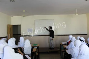 Shaheen's Falcon PU College Gallery