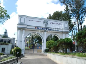 Montfort School Gallery