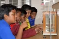 Vailankanni Public School Gallery