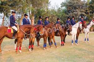 The Mann School Gallery