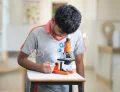 Delhi School Gallery