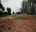 St Hildas Higher Secondary School Gallery