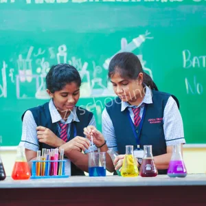 Vidyaa Vikas International School Gallery