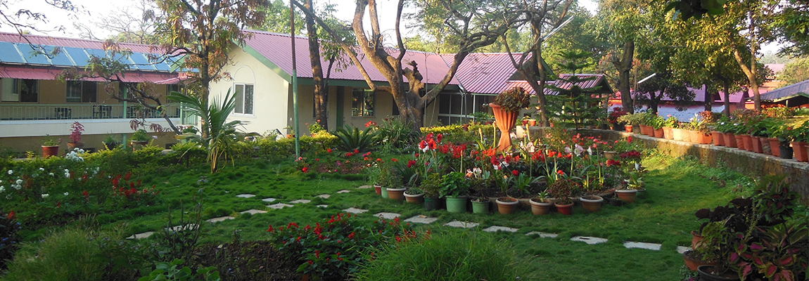 Kimmins High School Gallery