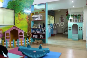 Shemrock Genius Preschool Gallery