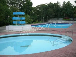 St. Mary's School Gallery