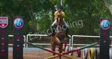 Sanjay Ghodawat International School Sanjay Ghodawat International School Gallery