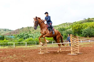 Sanjay Ghodawat International School Gallery