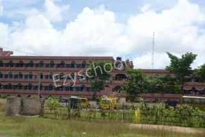 Royal Public School Gallery