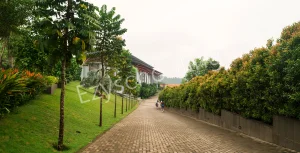 The White School International Gallery