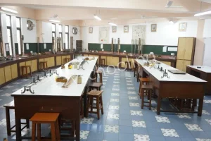 Delhi Public School Gallery