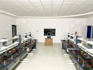 Candiidus International School Gallery