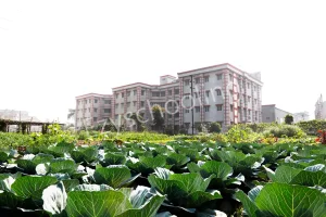 Burdwan Model School Gallery