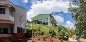 The Blue Mountains School Gallery