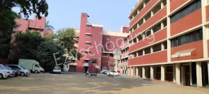 St. Helena's School Gallery