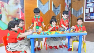 Vip's International School Gallery