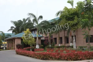 The Cathedral Vidya School Gallery