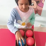 The Paradise International School Gallery