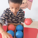 The Paradise International School Gallery