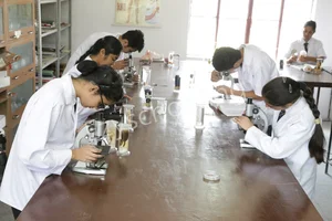 Olympus High Gallery