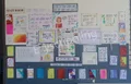 Sahyadri English Medium School Gallery