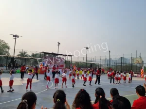 Maple Bear Canadian Gallery