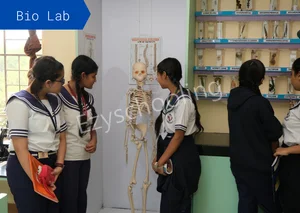 Mansukhbhai Kothari National School Gallery