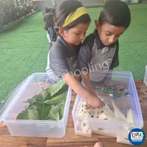 Little Millennium Preschool & Daycare Gallery