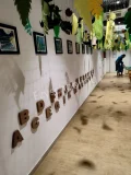 Kido International Preschool & Daycare Gallery