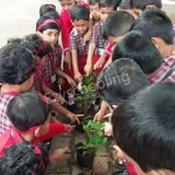 Kantilal Shaha Vidyalay Kantilal Shaha Vidyalay Gallery