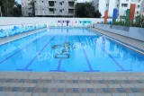 Podar Global School Podar Global School Gallery