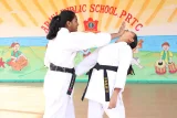 Army Public School Parachute Regiment Centre Army Public School Parachute Regiment Centre Gallery