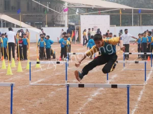 Walnut School Gallery