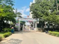 Novel International School Gallery