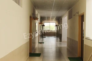 Gladiolus English Medium School Gallery