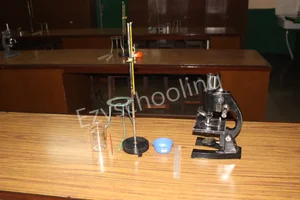 Loreto Day School Bow Bazar Gallery