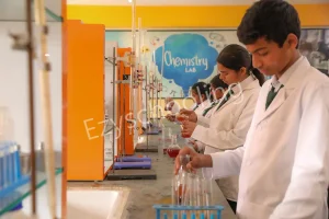 Delhi World Public School Gallery