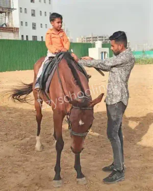 Kids Kingdom Gallery