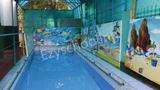 Vasundhara Mothers Pride Academy Vasundhara Mothers Pride Academy Gallery