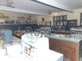 St. Teresa's Academy Gallery