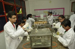 ITM Global School Gallery