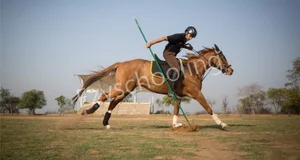 The Scindia School Gallery