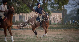 The Scindia School Gallery