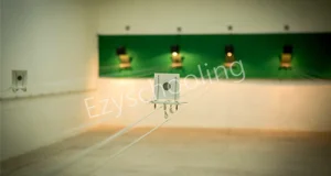 The Scindia School Gallery