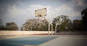 The Scindia School Gallery